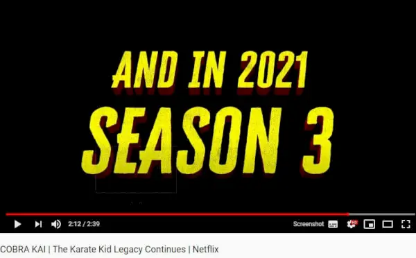 Releasedatum 2021 Cobra Kai