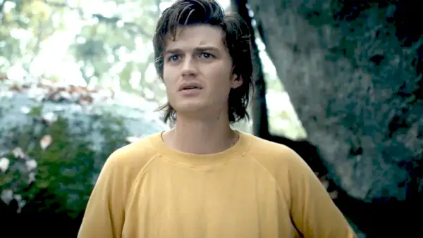 'Stranger Things' Steve Harrington és el tipus de personatge que mai m'abandona la ment