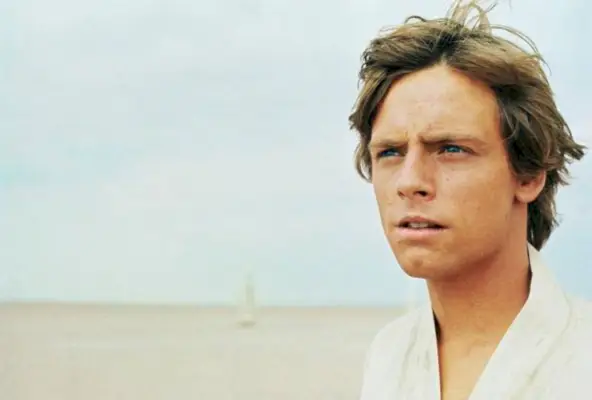 Luke Skywalker dentro