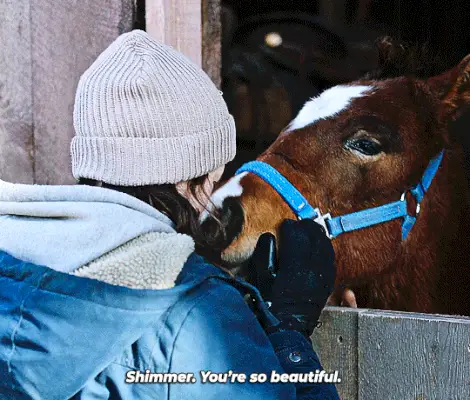 Este ovo de Páscoa desnecessário em ‘The Last of Us’ deixou minha garota cavalo interior geek