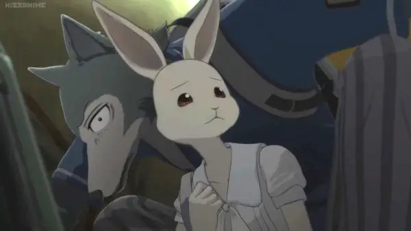 Anime Beastars.