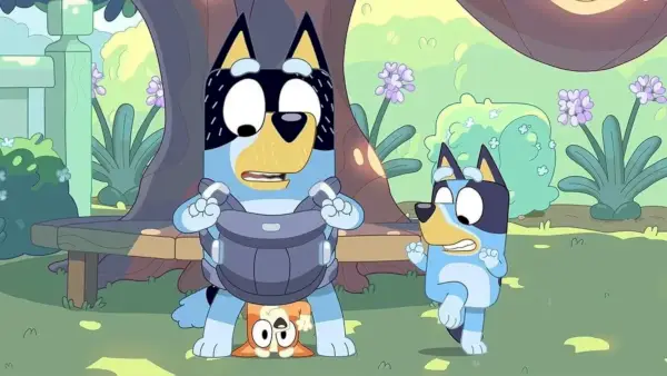 bluey'den haydut, bingo ve bluey