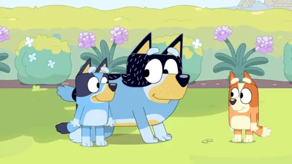 Vous savez qui d'autre aime Bluey ? Votre chien.